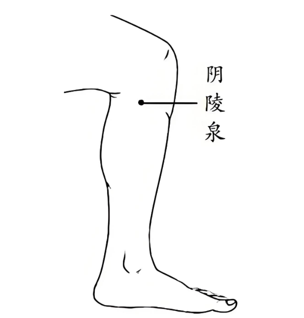 湿热体质, 不同的体质, 湿热体质