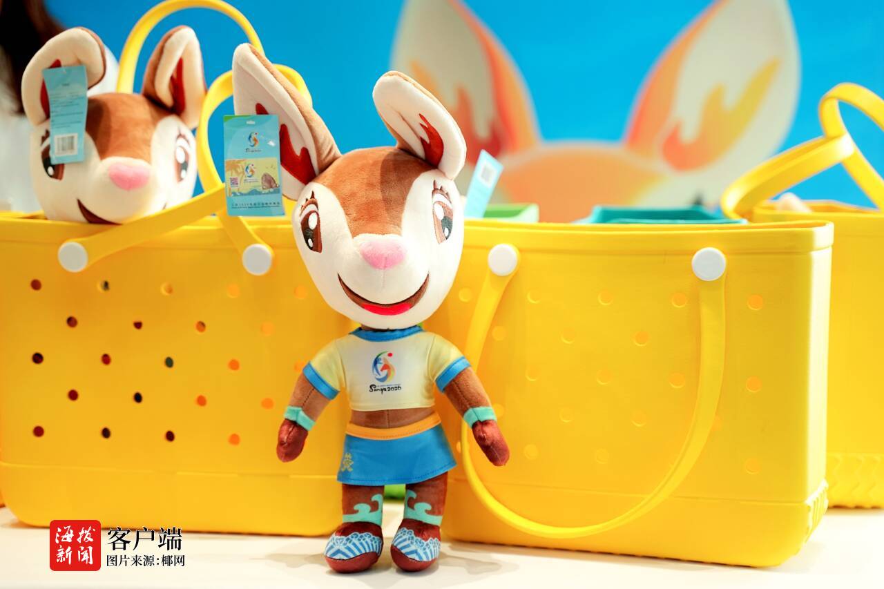 息技术股份, 公司